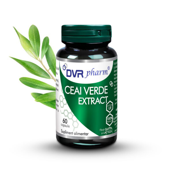 Ceai verde extract - antioxidant puternic cu rată mare de absorbție